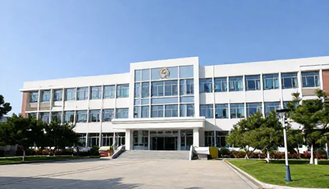 软件研发:知识产权保护与技术转让的使用建议